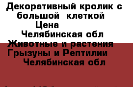 Декоративный кролик с большой  клеткой › Цена ­ 1 700 - Челябинская обл. Животные и растения » Грызуны и Рептилии   . Челябинская обл.